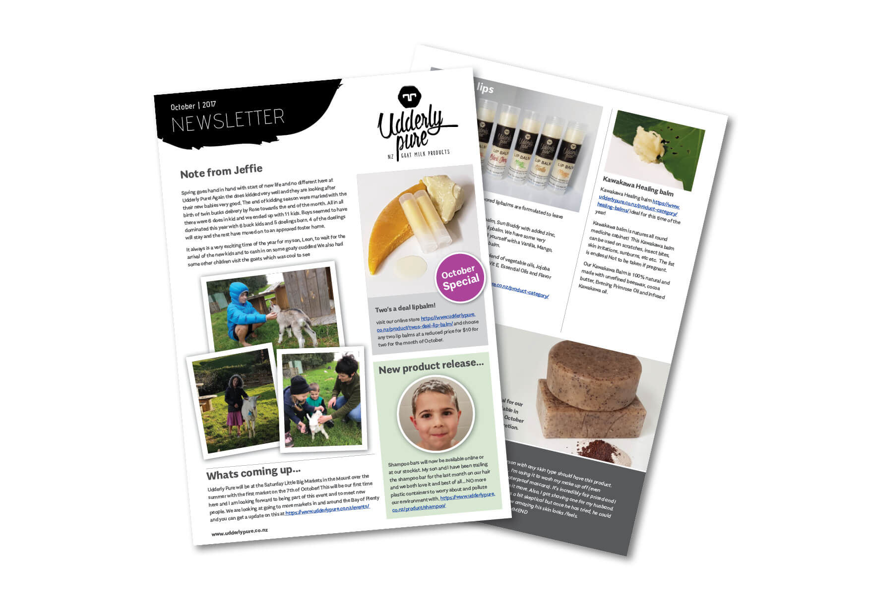 i-set-type-graphic-design-print-services-artwork-newsletters-udderly-pure-tauranga